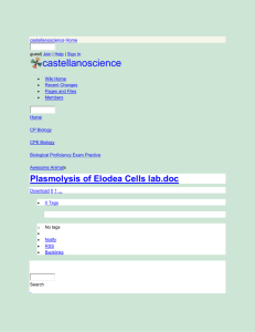 castellanoscience - Plasmolysis of Elodea Cells lab