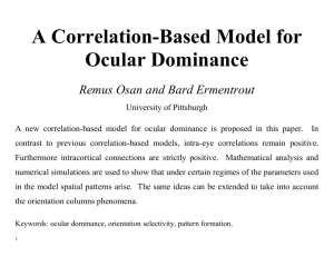 A Correlation-Based Model for Ocular Dominance
