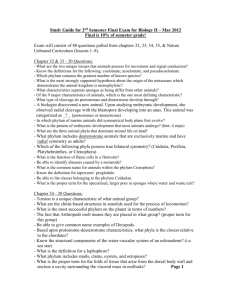 Study Guide for 2nd Semester Final Exam for Biology II – May 2010
