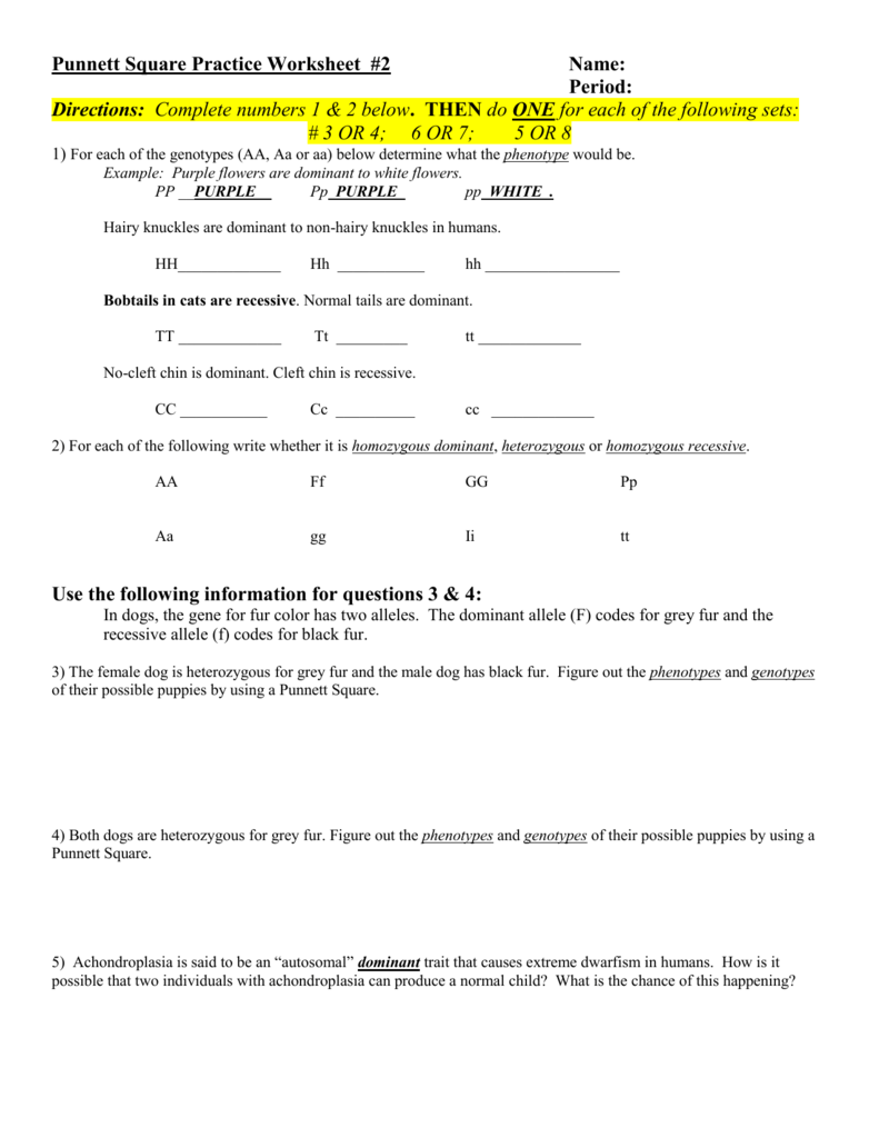 Punnett Square Practice #20 Throughout Punnett Square Practice Worksheet Answers