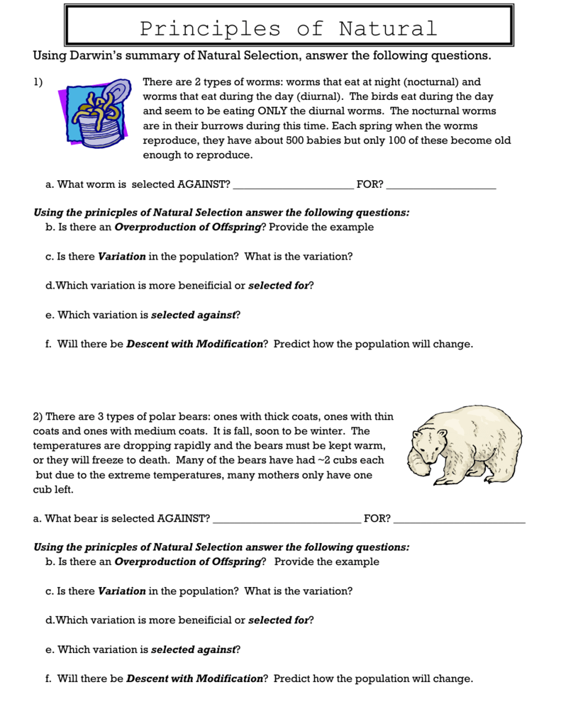 Types Of Natural Selection Worksheet Pdf