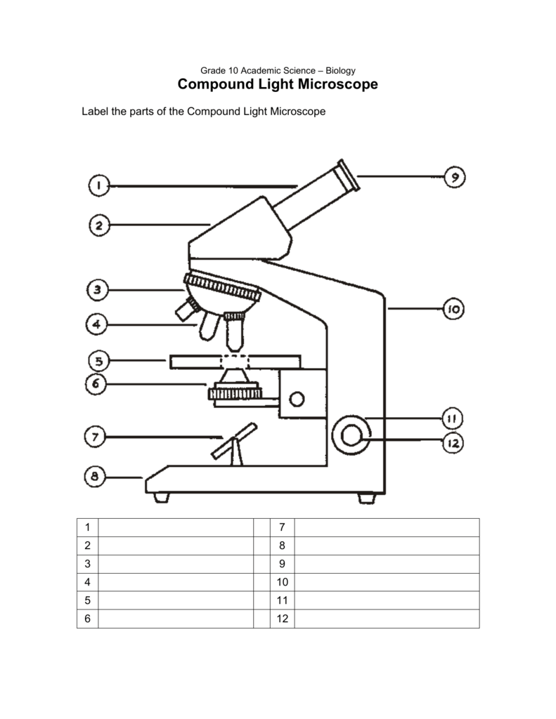 Labeling Compound Light Microscope Worksheet | Shelly Lighting