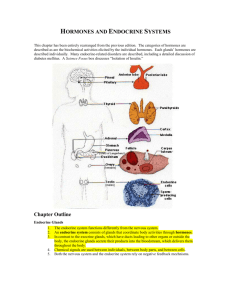 CHAPTER 42 HORMONES AND ENDOCRINE SYSTEMS