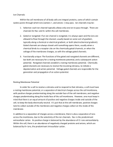 Membrane Potentials