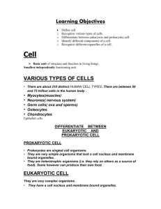 Cell By Dr. Nand Lal Dhomeja - Anatomy Department