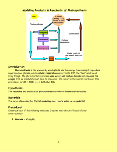 Modeling Products & Reactants of Photosynthesis