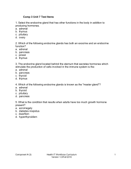 Endocrine System Worksheet Key