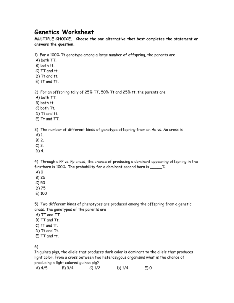 Genetics Worksheet Within Genetics Worksheet Answers Key