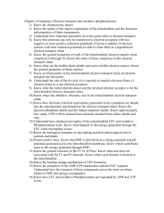 Chapter 14 Summary (Electron transport and oxidative