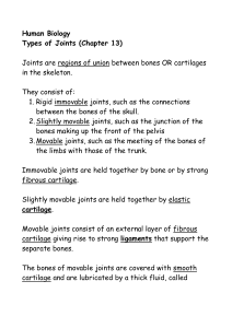 Types_of_Joints