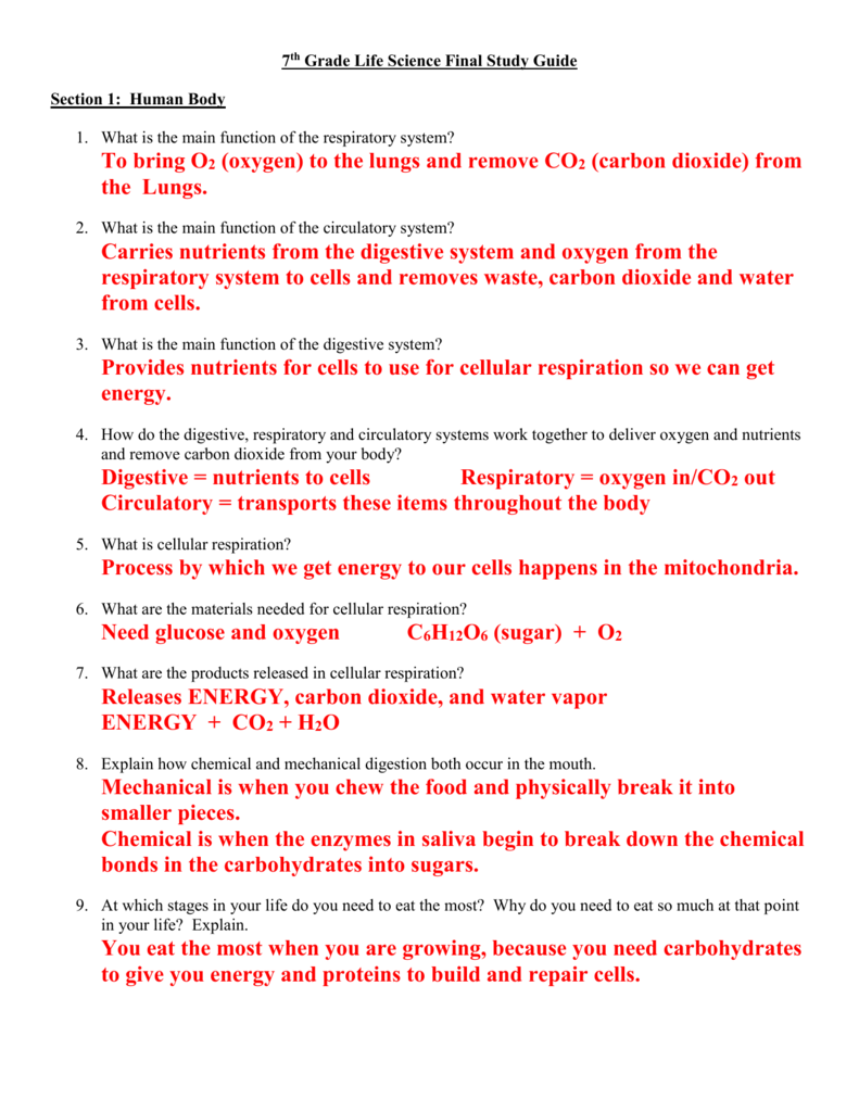 Final Exam Study Guide With Answer Key