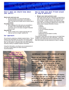 Feline Senior Wellness exam info