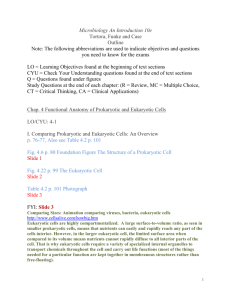 Microbiology An Introduction 10e Tortora, Funke and Case Outline