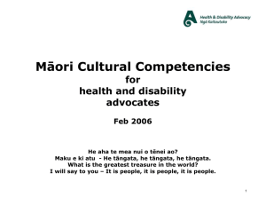 Māori Cultural Competencies for Advocates