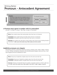 Pronoun - Antecedent Agreement