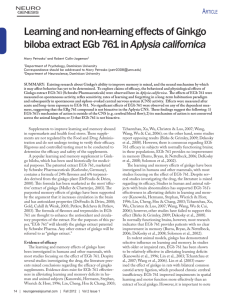 Learning and non-learning effects of Ginkgo biloba