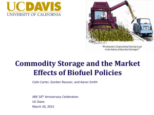 Commodity Storage and the Market Effects of Biofuel