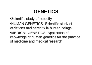 genetics-1