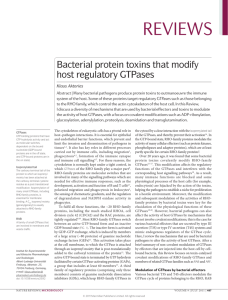 Bacterial protein toxins that modify host regulatory GTPases
