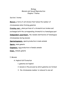 Biology Meiosis and Sexual Reproduction Chapter 7 Notes Section