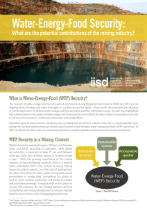 Water-Energy-Food Security - International Institute for Sustainable