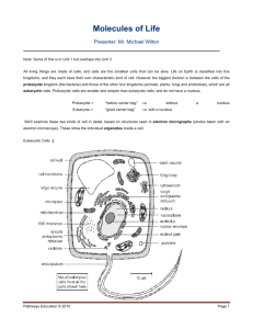 Unit 3 Biology sample notes - May 2010