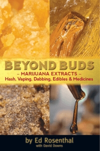 Beyond Buds - Green Buddha