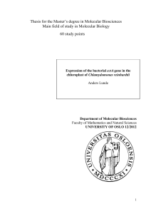 Thesis for the Master's degree in Molecular Biosciences Main field of