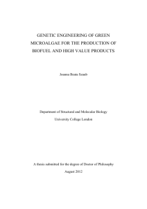 GENETIC ENGINEERING OF GREEN MICROALGAE FOR THE