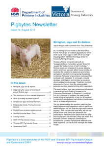 PigBytes August 2012 - NSW Department of Primary Industries