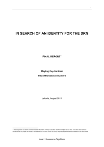 IN SEARCH OF AN IDENTITY FOR THE DRN