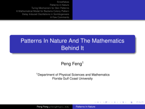 Patterns In Nature And The Mathematics Behind It