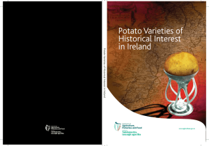 Potato Varieties of Historical Interest in Ireland