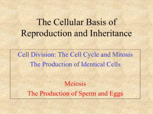 The Cellular Basis of Reproduction and Inheritance