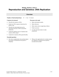 Reproduction and Genetics: DNA Replication