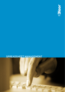 spreadsheet management