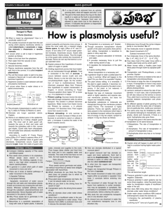 How is plasmolysis useful?