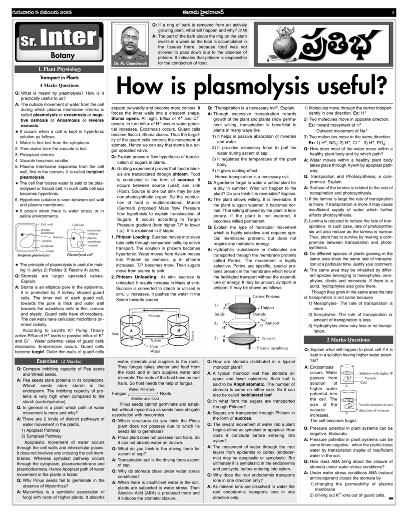 How Is Plasmolysis Useful