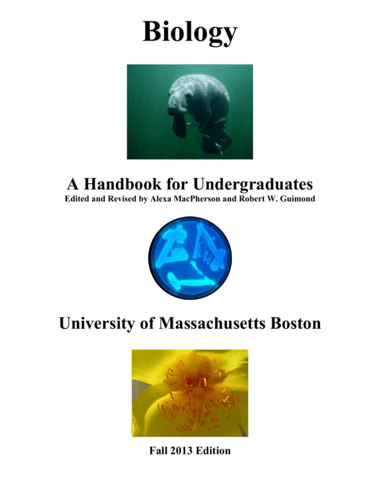 boston university phd programs biology