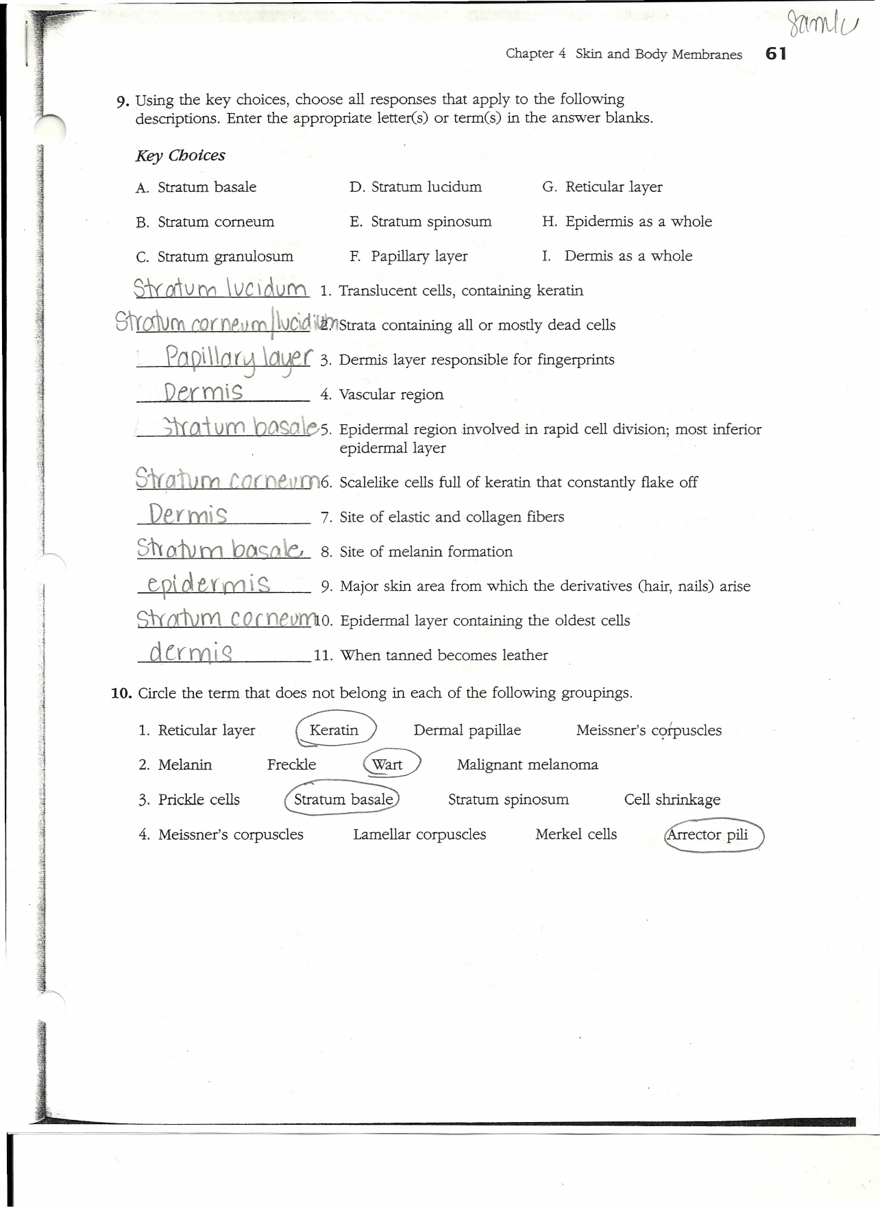 Anatomy And Physiology Coloring Workbook Answers