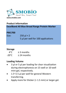 Product Information ExcelBand All Blue Broad Range Protein