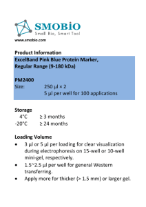 Product Information ExcelBand Pink Blue Protein Marker, Regular