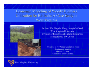 Economic modeling of woody biomass utilization for biofuels: A case