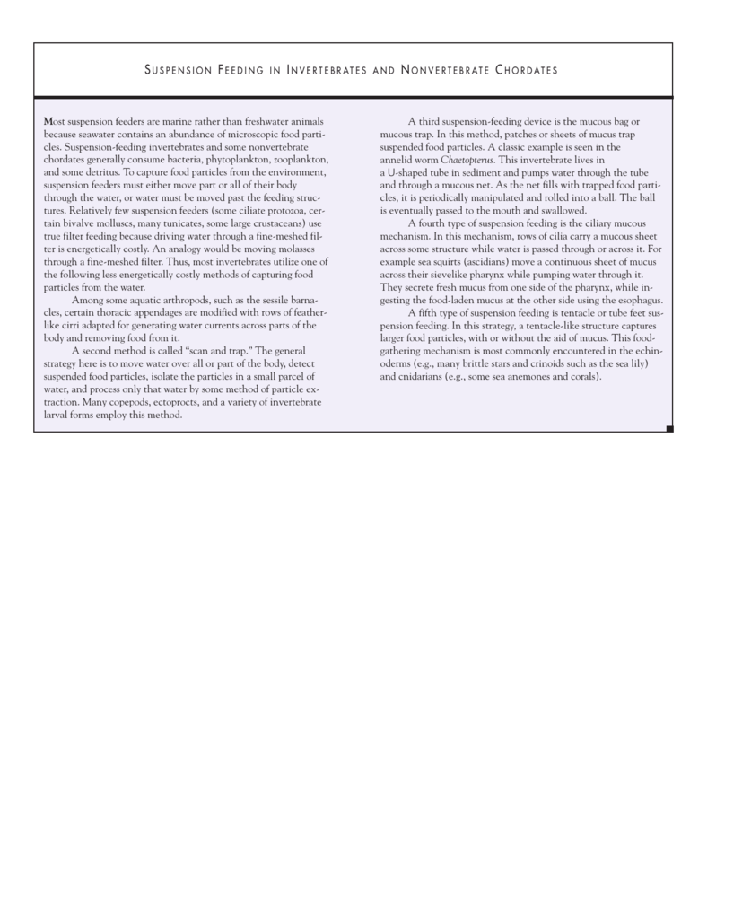 Suspension Feeding In Invertebrates And Nonvertebrate Chordates