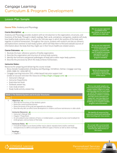 View less plan sample