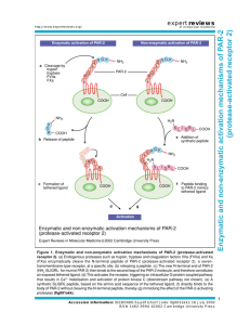 Enzymatic and non-enzymatic activation mechanisms of P AR