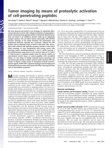 Tumor imaging by means of proteolytic activation of cell