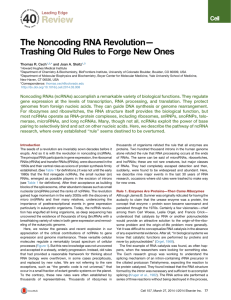 Noncoding-RNA