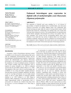 Enhanced heterologous gene expression in diploid cells of