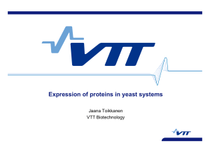 Expression of proteins in yeast systems